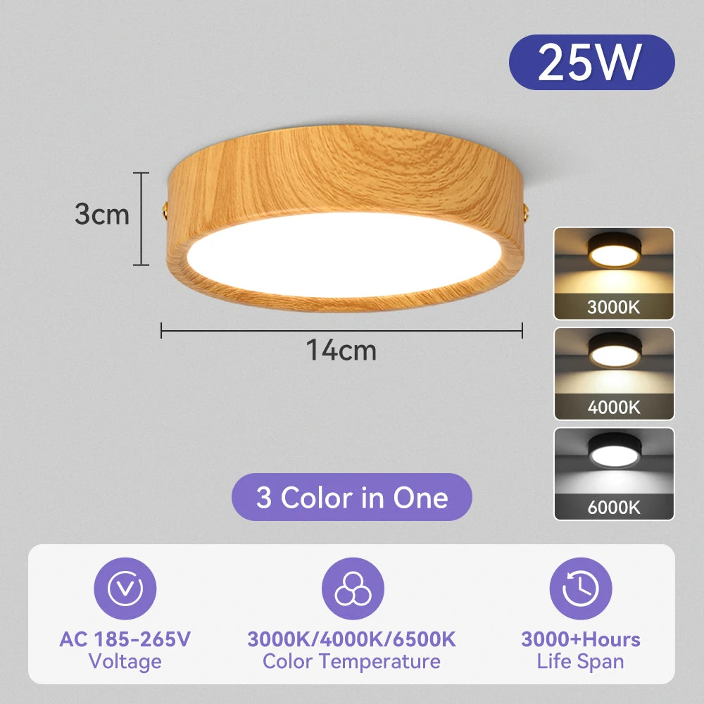 Modern Surface Mounted LED Downlight for Living Room and Bathroom Lighting