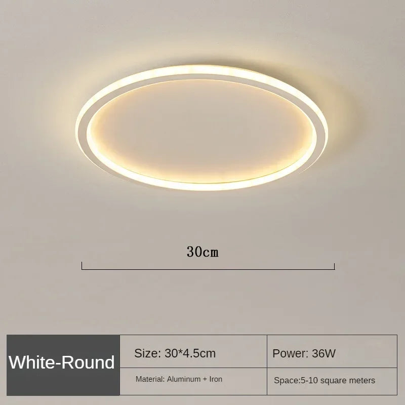 Nordic Minimalist LED Ceiling Light with Remote for Modern Living Spaces