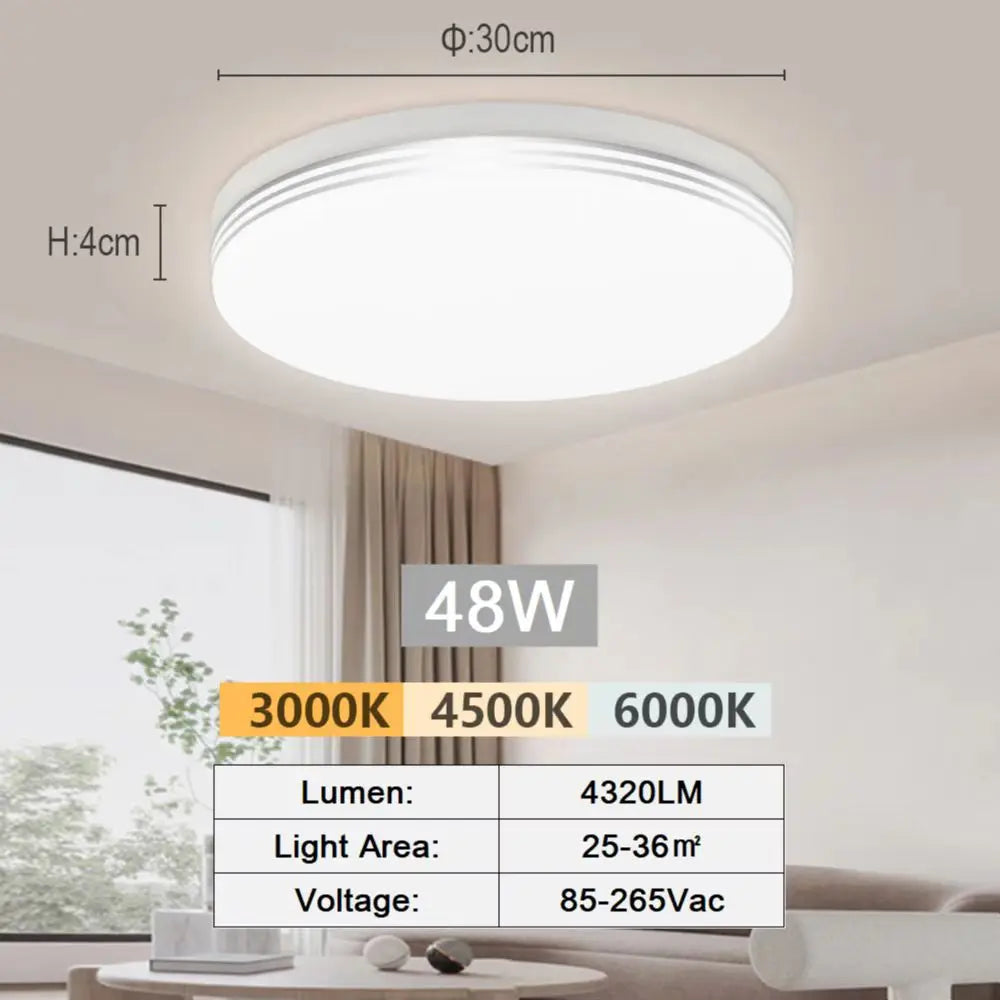 Modern LED Flush Mount Ceiling Light for Kitchens and Hallways