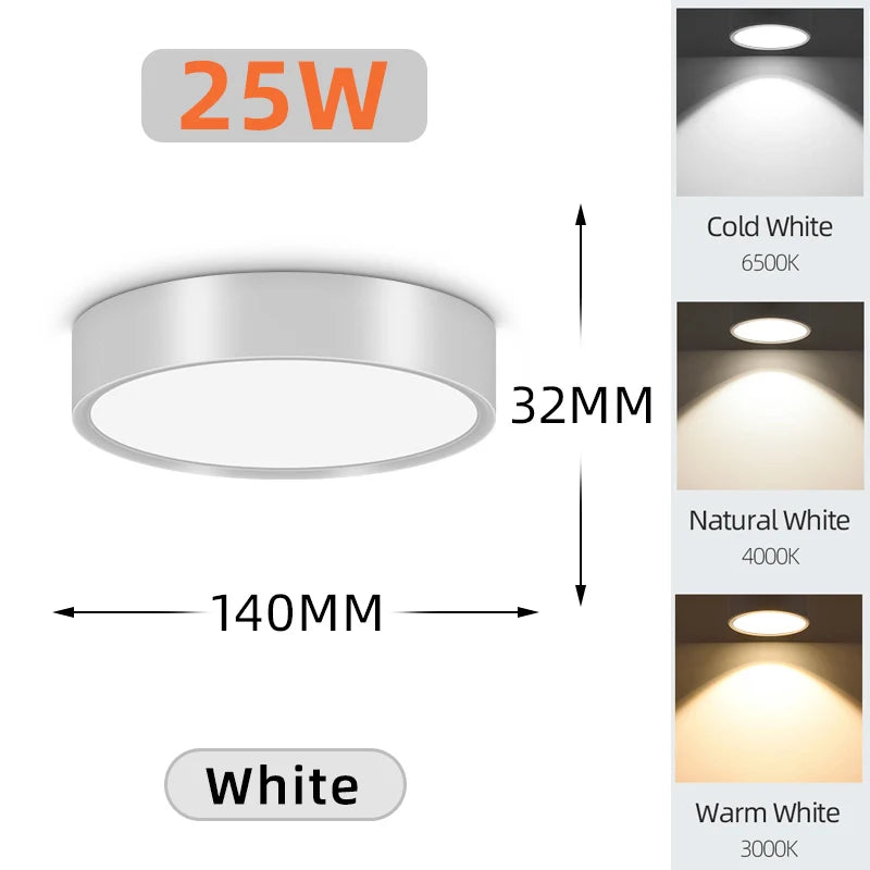Modern LED Surface Mounted Downlight for Living Room and Bedroom Lighting