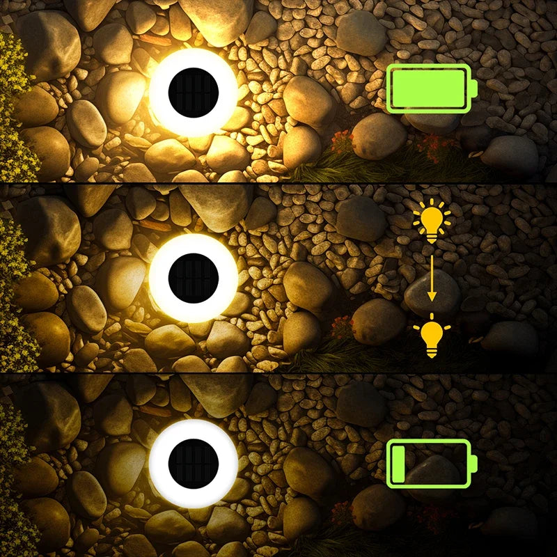 Waterproof LED Solar Path Light for Modern Garden and Driveway Lighting