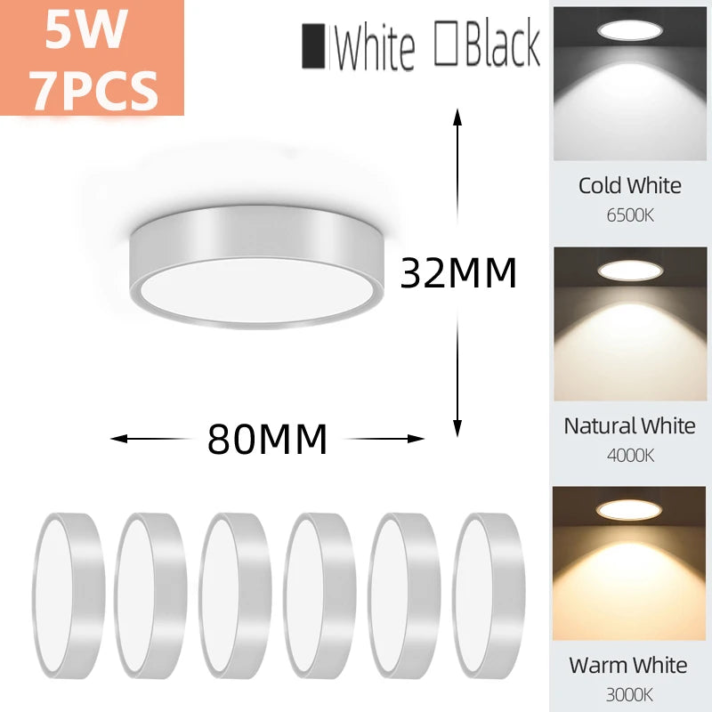 Modern LED Surface Mounted Downlight for Living Room and Bedroom Lighting