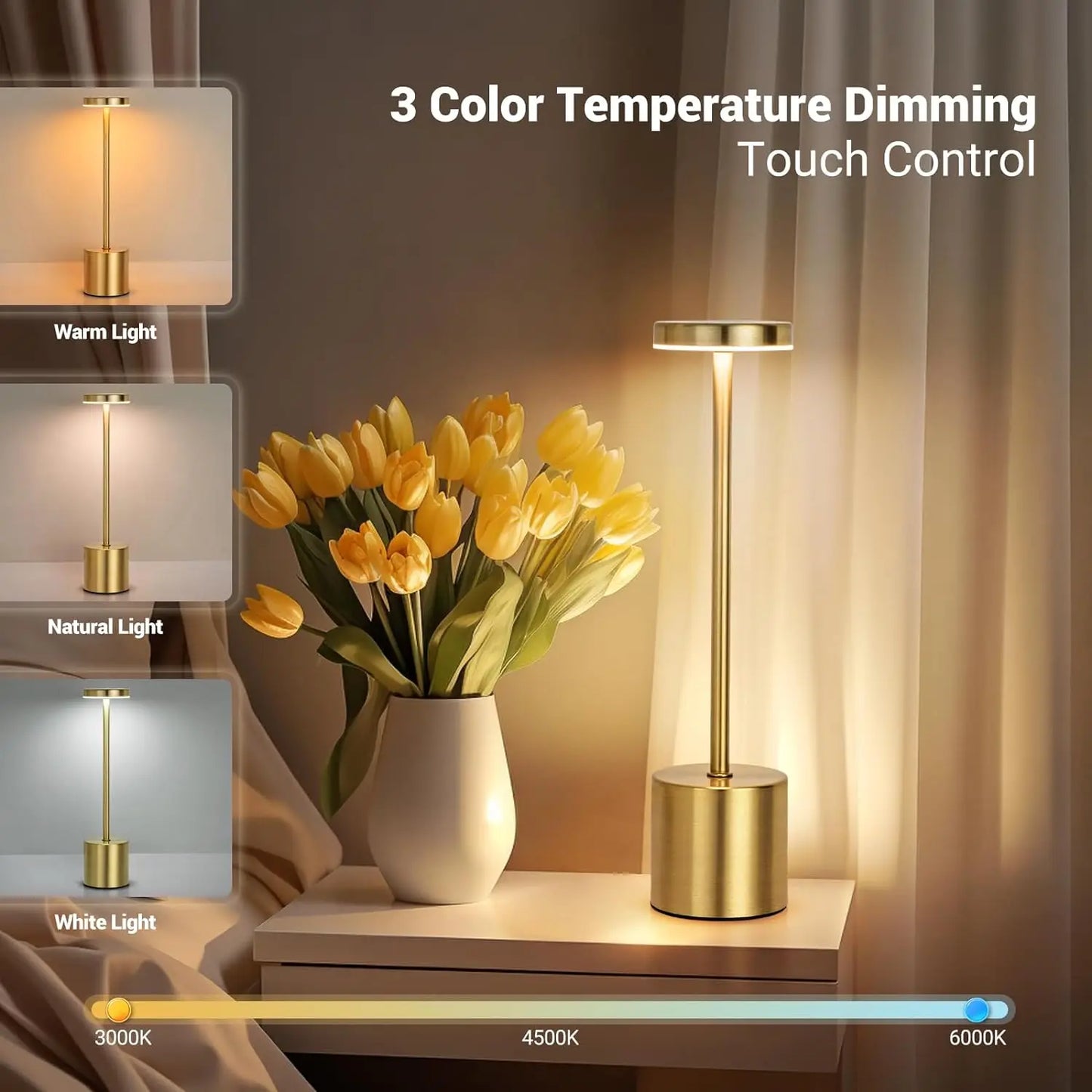 Rechargeable Metal Touch Table Lamp for Modern Cafe and Home Ambience