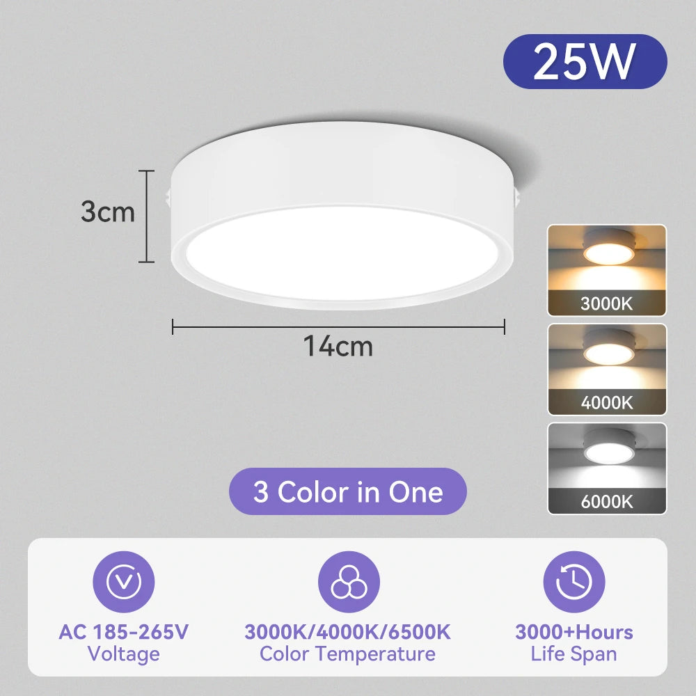 Modern Surface Mounted LED Downlight for Living Room and Bathroom Lighting