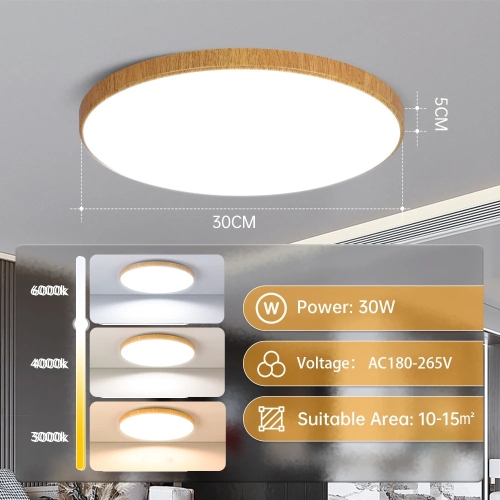 Modern Ultra-Thin LED Ceiling Light for Contemporary Bedrooms and Kitchens