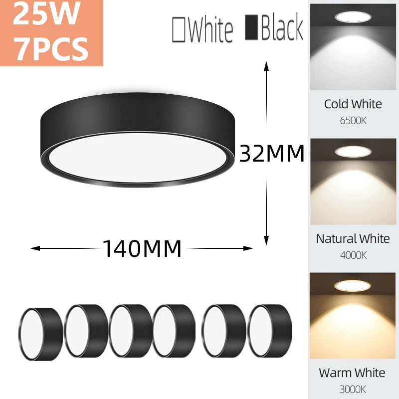Modern LED Surface Mounted Downlight for Living Room and Bedroom Lighting