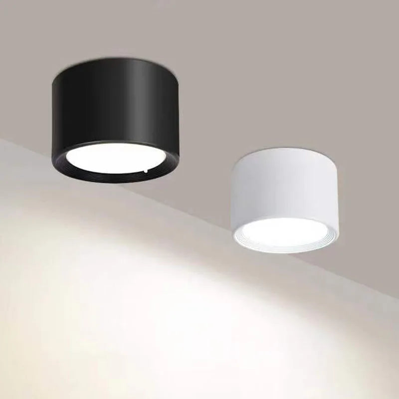 Modern Surface Mounted LED Downlight for Living Room and Bedroom Interiors