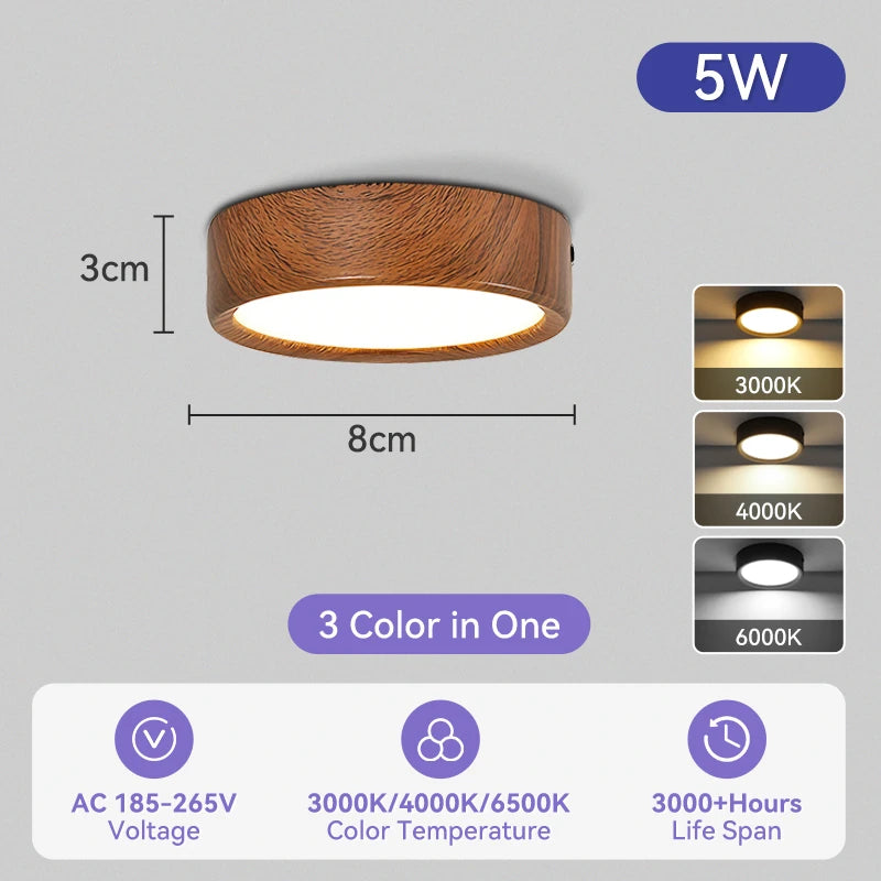 Modern Surface Mounted LED Downlight for Living Room and Bathroom Lighting