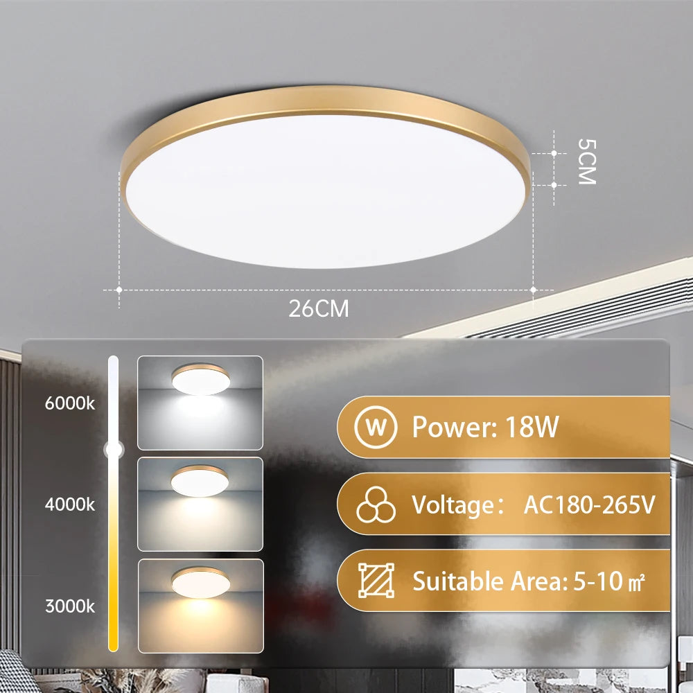Modern Ultra-Thin LED Ceiling Light for Contemporary Bedrooms and Kitchens