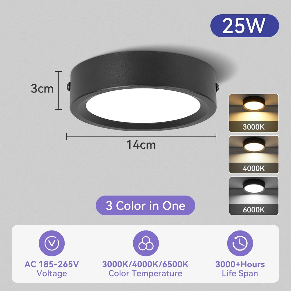 Modern Surface Mounted LED Downlight for Living Room and Bathroom Lighting