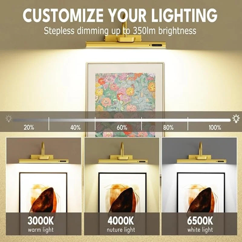 Rechargeable LED Picture Light with Remote for Art Galleries and Living Rooms