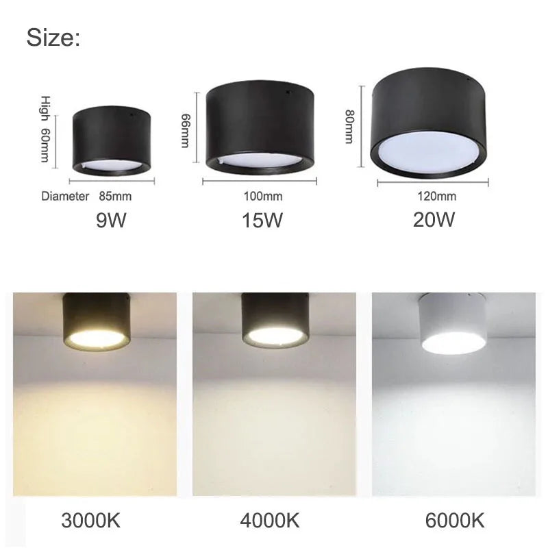 Modern Surface Mounted LED Downlight for Living Room and Bedroom Interiors