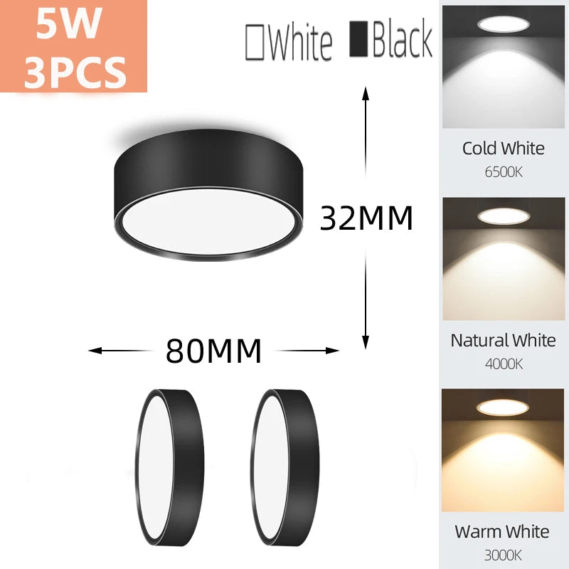Modern LED Surface Mounted Downlight for Living Room and Bedroom Lighting