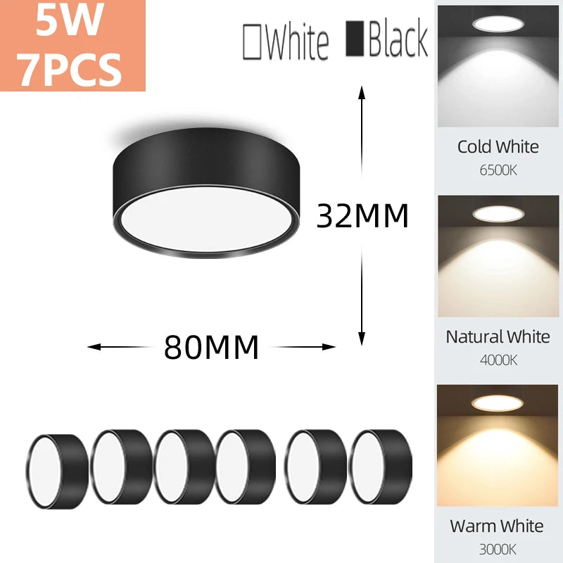 Modern LED Surface Mounted Downlight for Living Room and Bedroom Lighting