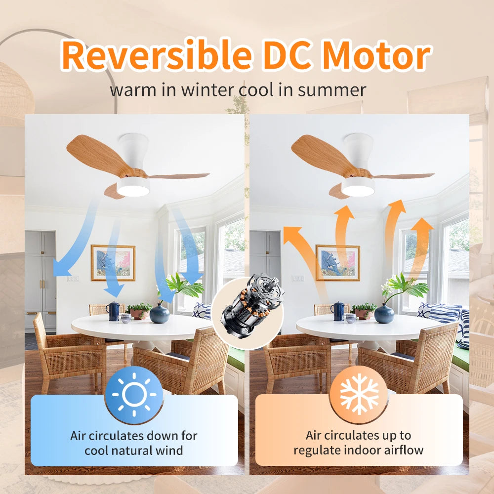 Modern LED Ceiling Fan with Remote for Living Rooms and Bedrooms