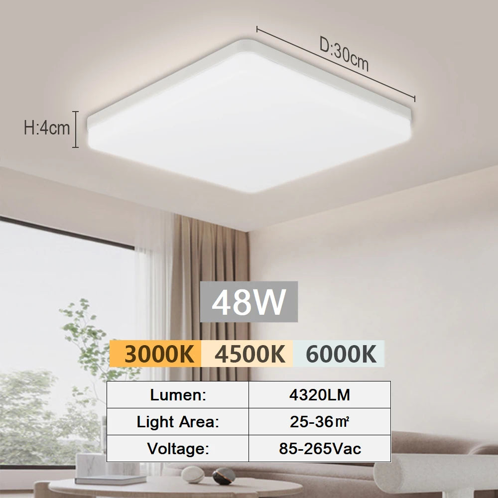 Modern LED Flush Mount Ceiling Light for Kitchens and Hallways