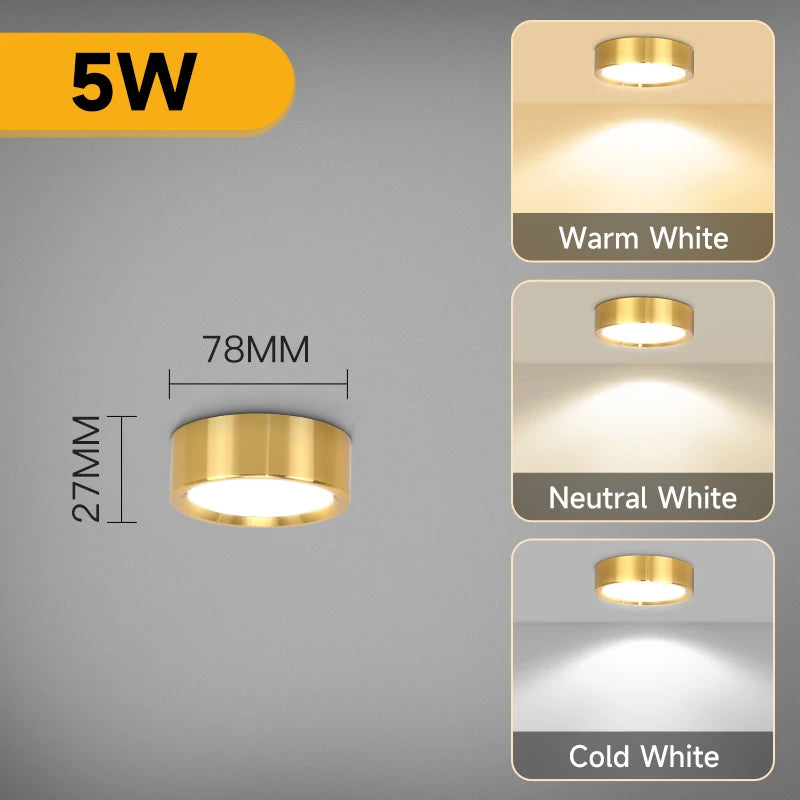 Modern LED Surface Mounted Downlight for Living Room and Bedroom Lighting