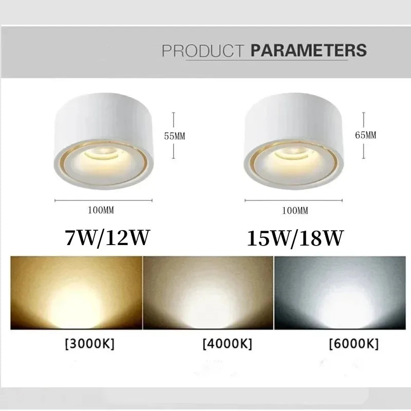 Modern Surface Mounted LED Downlight for Contemporary Residential and Office Lighting