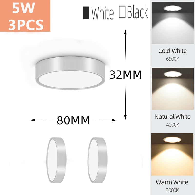 Modern LED Surface Mounted Downlight for Living Room and Bedroom Lighting