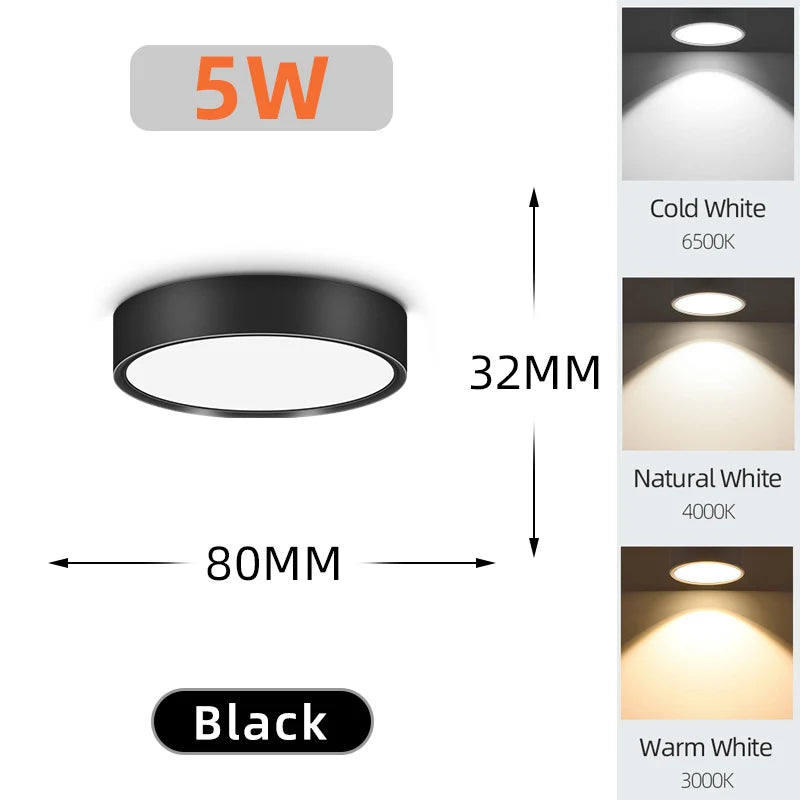 Modern LED Surface Mounted Downlight for Living Room and Bedroom Lighting