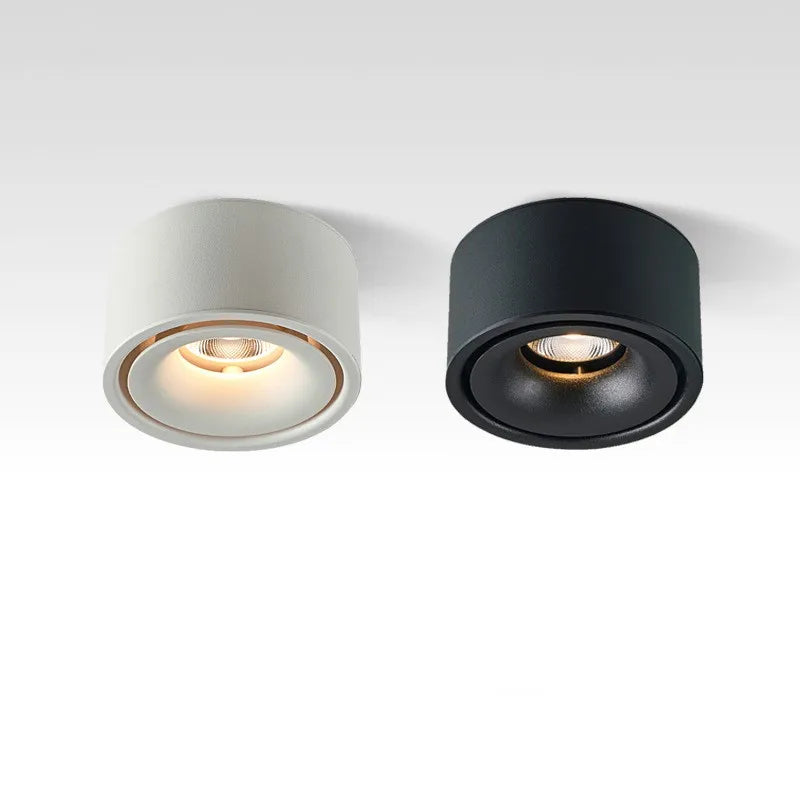 Modern Surface Mounted LED Downlight for Contemporary Residential and Office Lighting