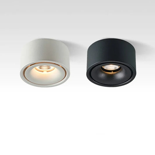 Modern Surface Mounted LED Downlight for Contemporary Residential and Office Lighting