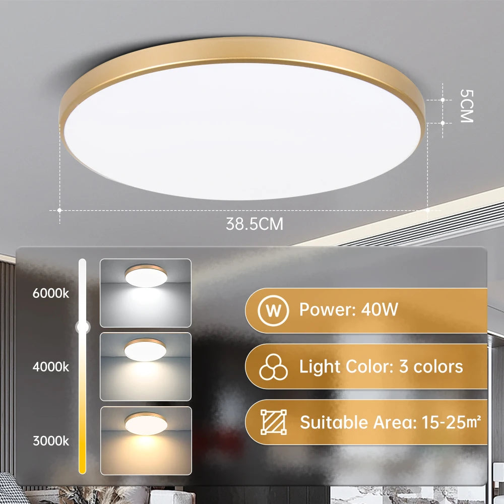 Modern Gold Flush Mount LED Ceiling Light for Kitchens and Bathrooms