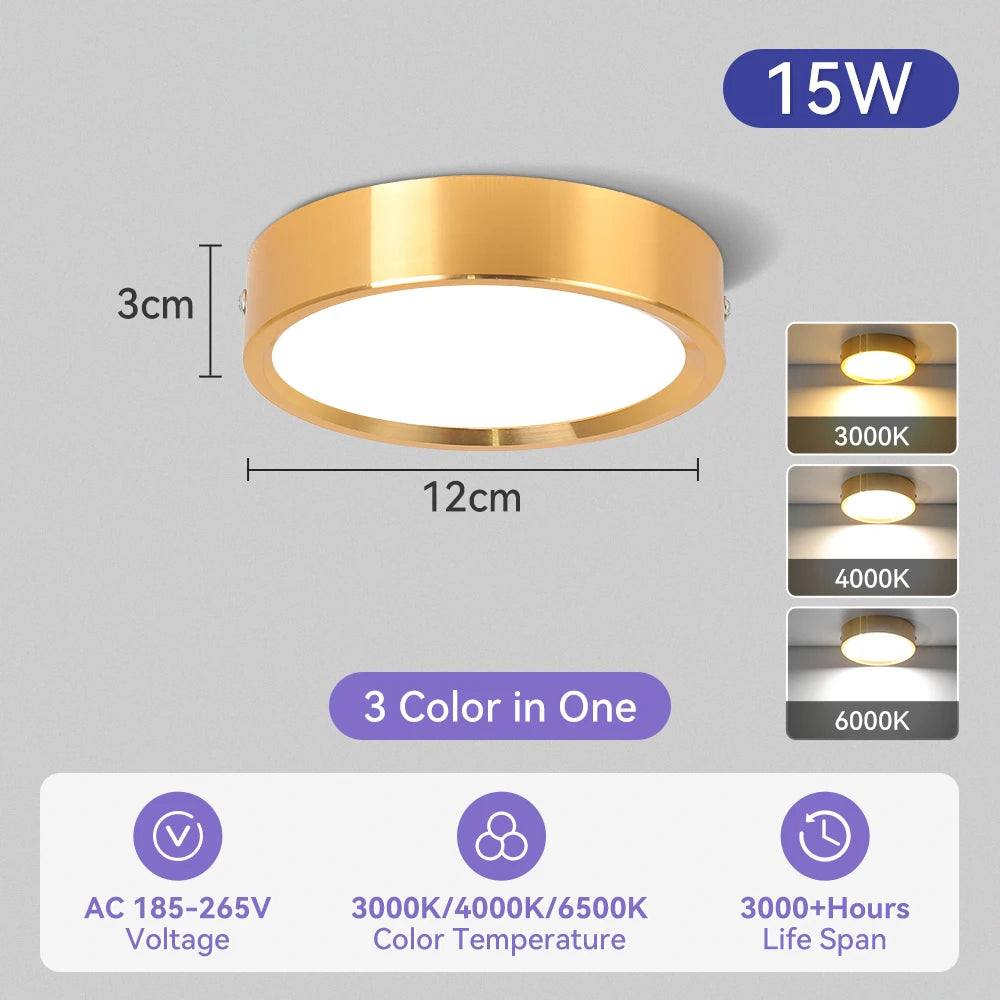 Modern Surface Mounted LED Downlight for Living Room and Bathroom Lighting