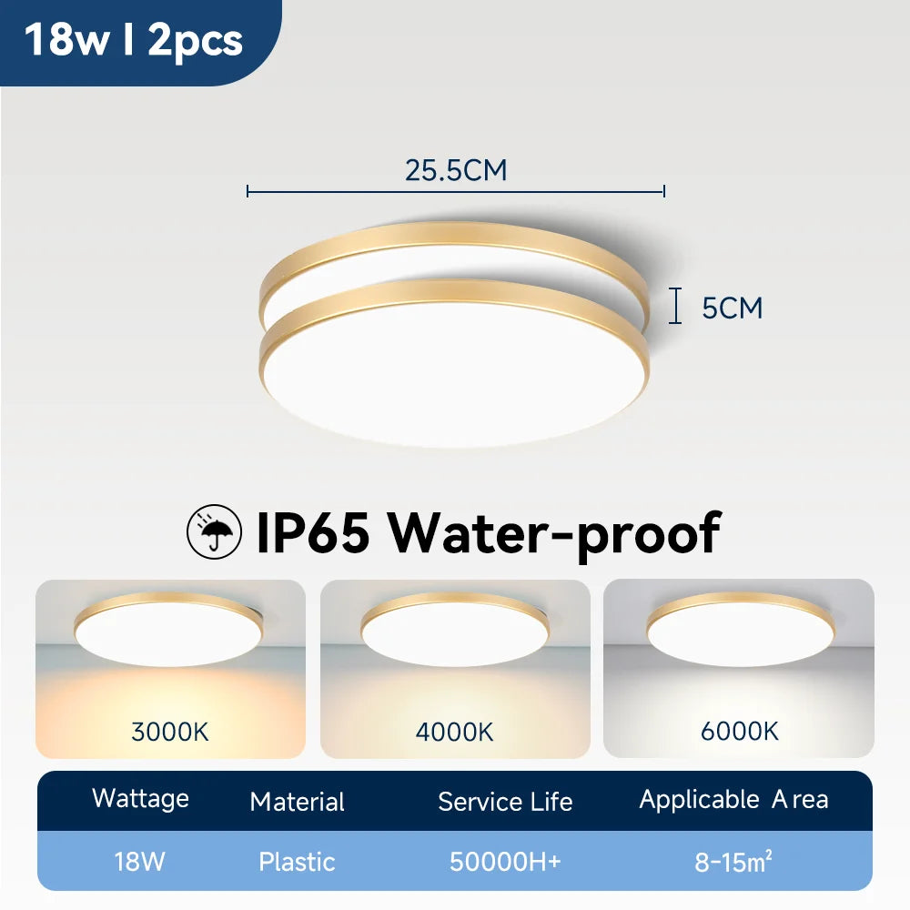 Modern Waterproof LED Ceiling Light for Bathrooms and Kitchens
