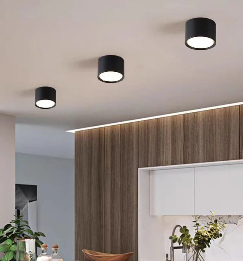 Modern Surface Mounted LED Downlight for Living Room and Bedroom Interiors