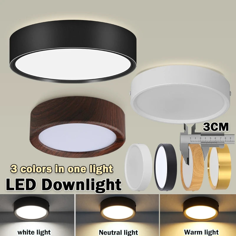 Modern Surface Mounted LED Downlight for Living Room and Bathroom Lighting