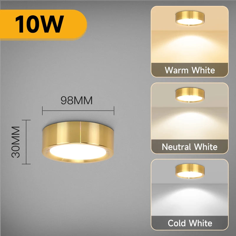Modern LED Surface Mounted Downlight for Living Room and Bedroom Lighting