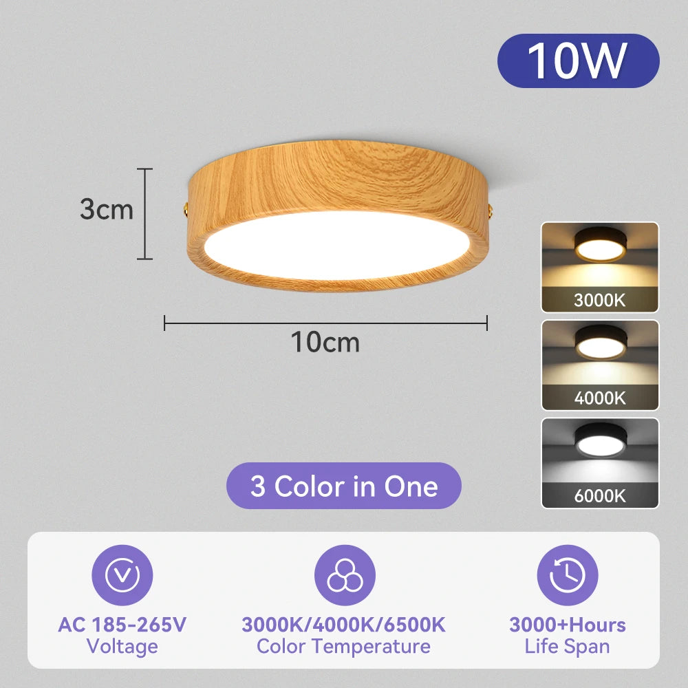 Modern Surface Mounted LED Downlight for Living Room and Bathroom Lighting