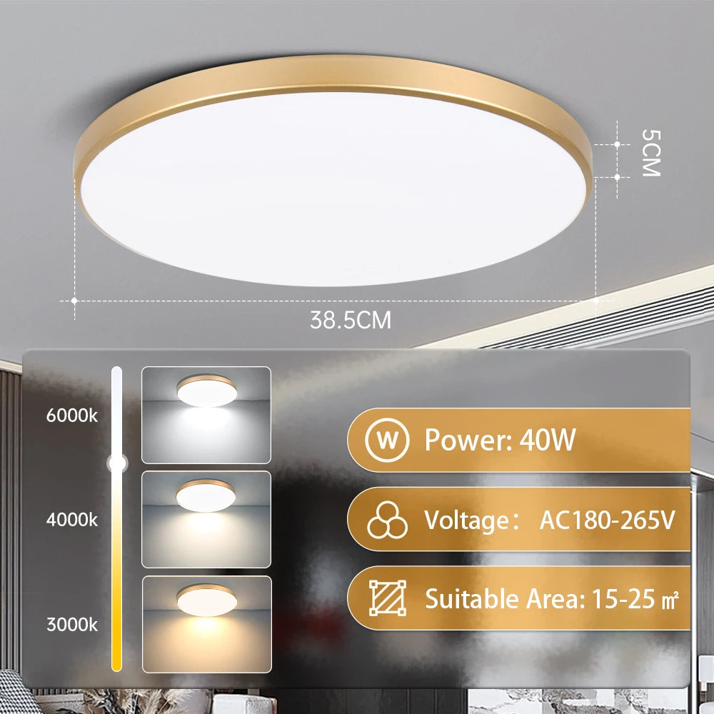 Modern Ultra-Thin LED Ceiling Light for Contemporary Bedrooms and Kitchens