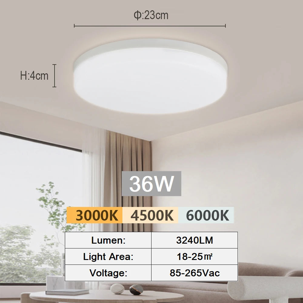 Modern LED Flush Mount Ceiling Light for Kitchens and Hallways