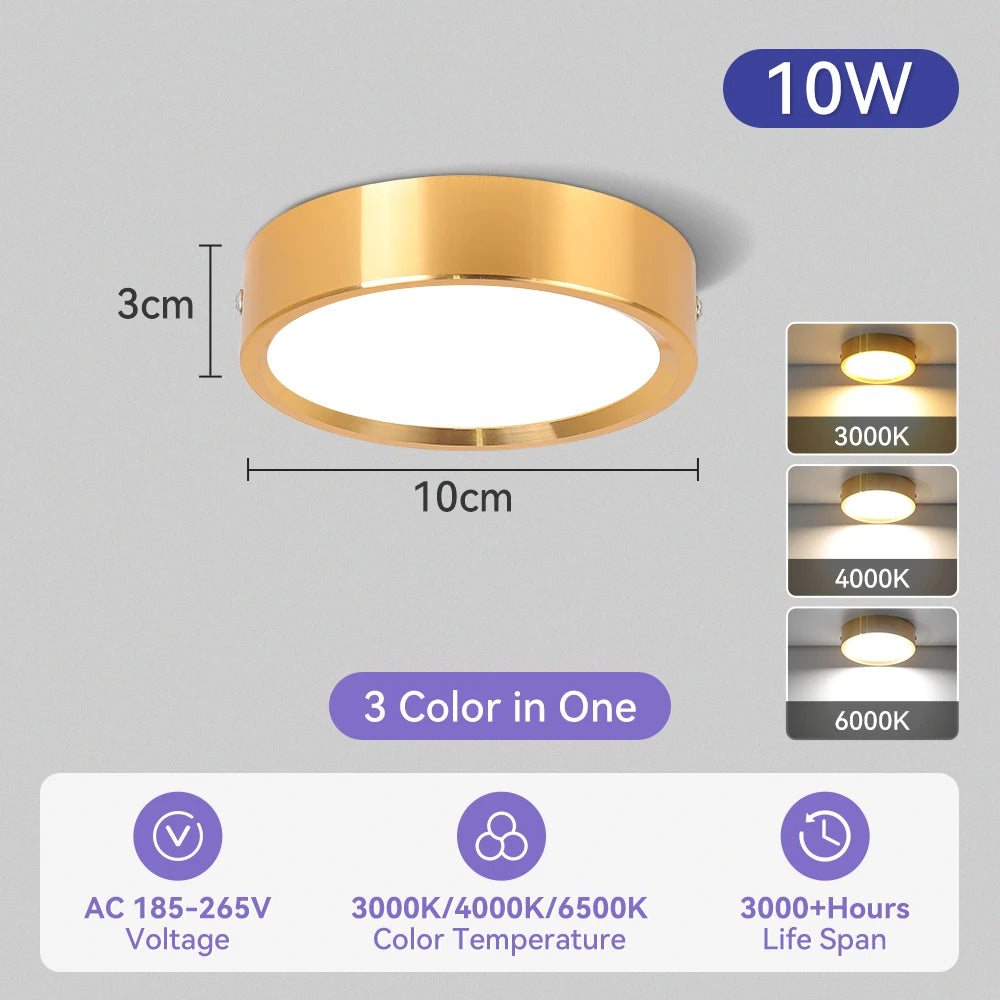 Modern Surface Mounted LED Downlight for Living Room and Bathroom Lighting