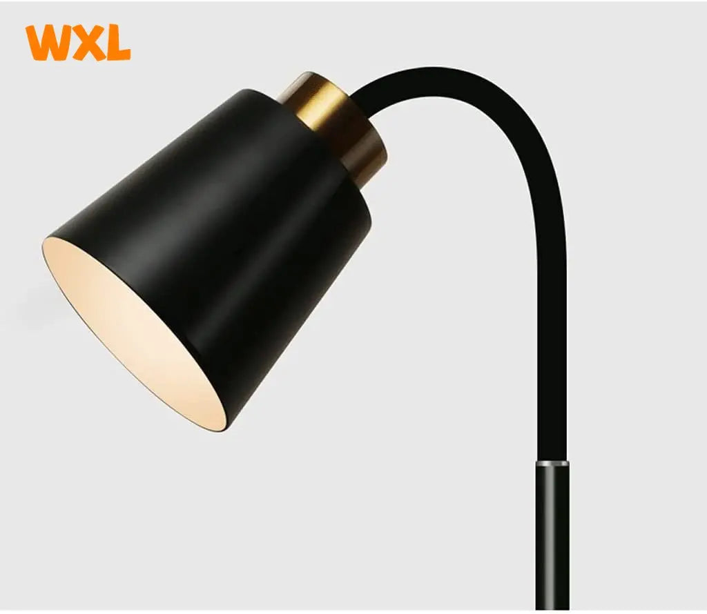 Adjustable Wrought Iron Floor Lamp for Modern Living Rooms and Reading Corners