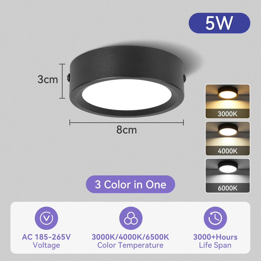 Modern Surface Mounted LED Downlight for Living Room and Bathroom Lighting