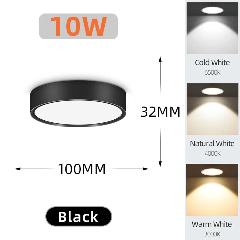 Modern LED Surface Mounted Downlight for Living Room and Bedroom Lighting
