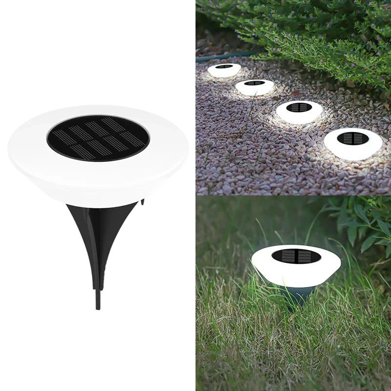 Waterproof LED Solar Path Light for Modern Garden and Driveway Lighting