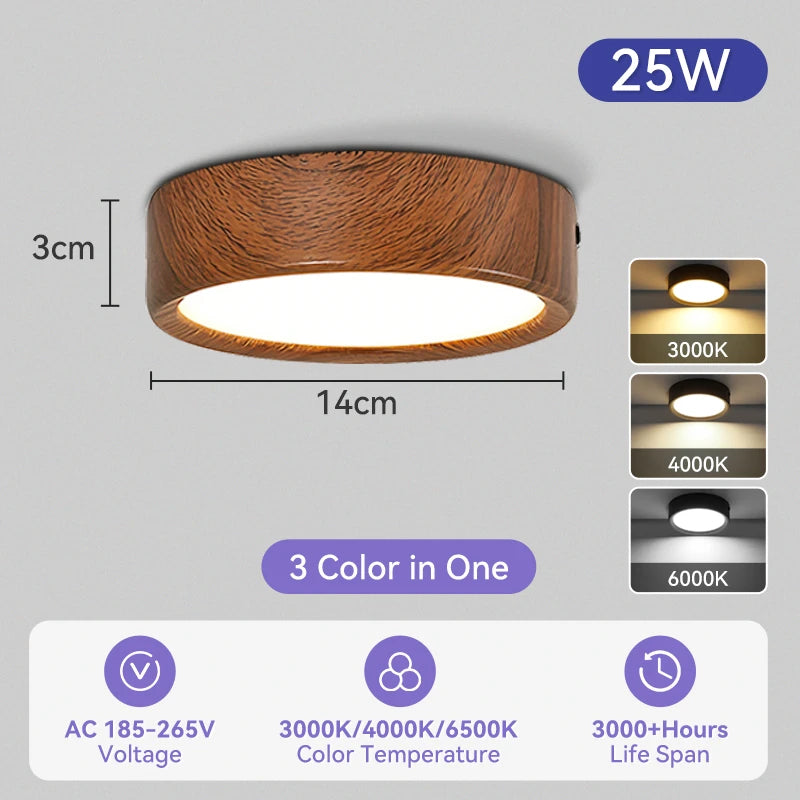 Modern Surface Mounted LED Downlight for Living Room and Bathroom Lighting