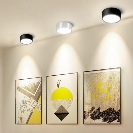 Modern LED Surface Mounted Downlight for Living Room and Bedroom Lighting